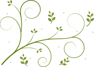 Elegant Green Vine Pattern PNG image