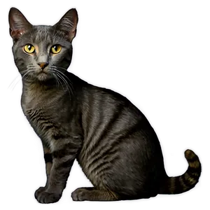 Elegant Grey Cat PNG 72