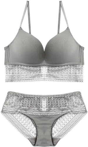 Elegant Grey Lace Lingerie Set PNG image