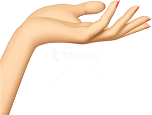 Elegant Hand Gesture Clipart PNG
