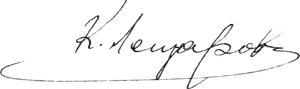 Elegant Handwritten Signature PNG image