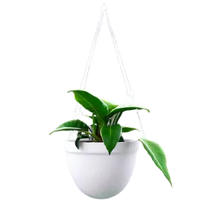 Elegant Hanging Plant PNG 50