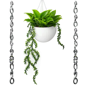 Elegant Hanging Plant Png Qis46 PNG image