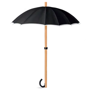 Elegant Lady's Umbrella PNG Fkr