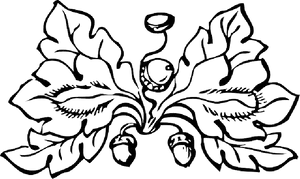Elegant Leaf Design Outline PNG image