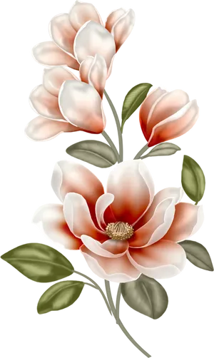Elegant Magnolia Blossoms PNG image