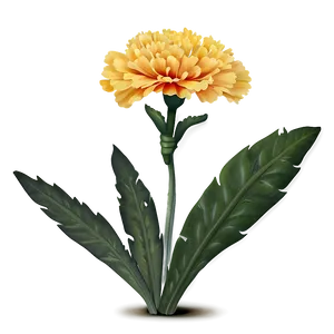 Elegant Marigolds Composition PNG Egt PNG
