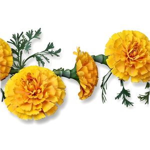 Elegant Marigolds Composition PNG Vht PNG