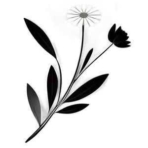 Elegant Monochrome Flowers Png 06282024 PNG image