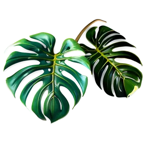Elegant Monstera Leaf PNG 05232024 PNG