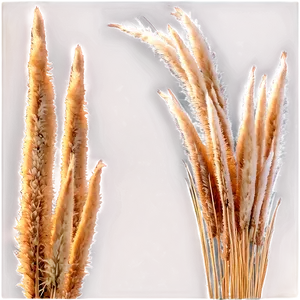 Elegant Pampas Arrangement PNG 06272024