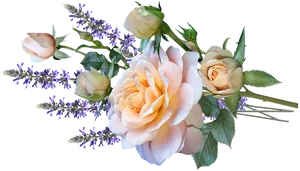 Elegant_ Peach_ Roses_and_ Lavender_ Bouquet.png PNG image