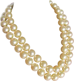Elegant Pearl Necklace PNG image