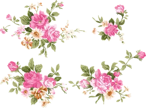 Elegant Peony Floral Pattern PNG image