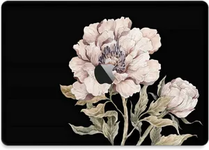 Elegant Peony Illustration PNG