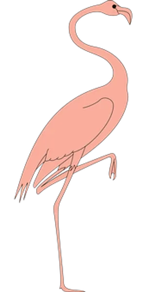 Elegant Pink Flamingo Graphic