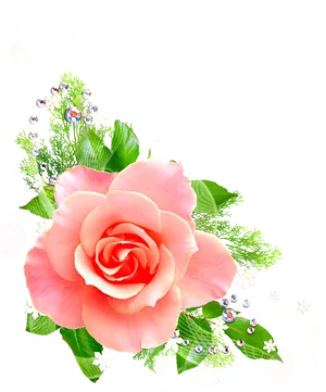 Elegant Pink Rose Floral Design.png PNG image