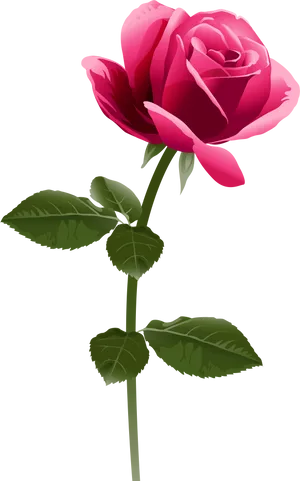 Elegant Pink Rose Vector