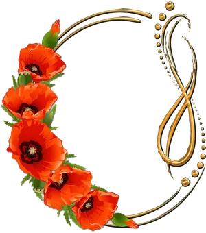 Elegant Poppy Floral Frame PNG image