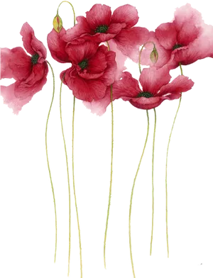 Elegant Red Poppies Artwork