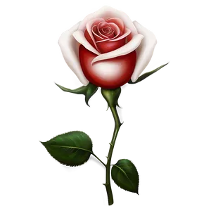 Elegant Red Rose PNG 05242024