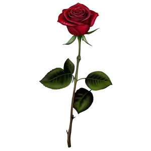 Elegant Red Rose PNG Ifh