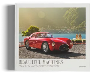 Elegant Red Sports Car Lakeside