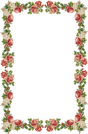Elegant Rose Border Vector Design PNG image