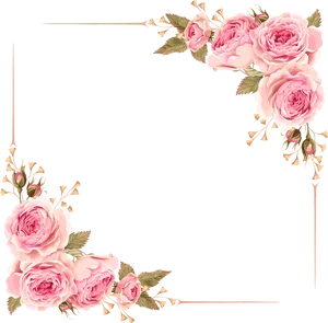 Elegant Rose Floral Border PNG image