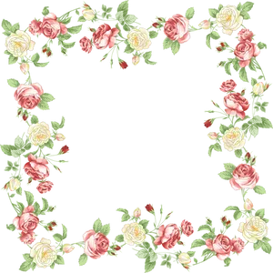 Elegant_ Rose_ Flower_ Border PNG image