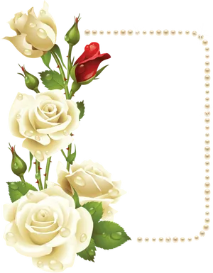 Elegant Rose Frame PNG image