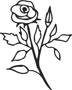 Elegant Rose Outline PNG