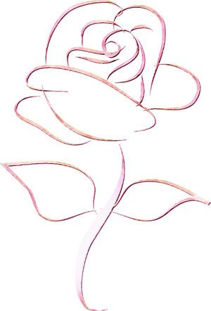 Elegant Rose Outline Art PNG