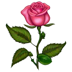 Elegant Rose Outline Png Cii70 PNG image