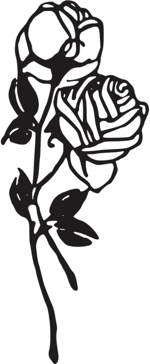 Elegant Rose Vector Silhouette PNG image