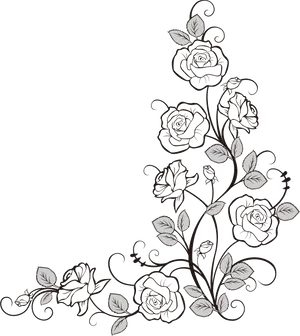 Elegant Rose Vine Drawing PNG image