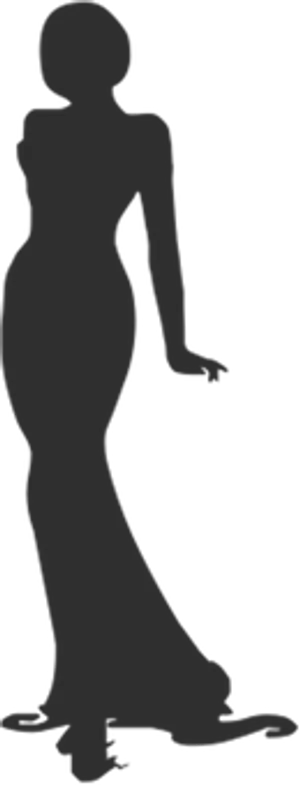 Elegant Silhouette Woman