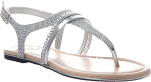 Elegant Silver Strappy Sandal PNG