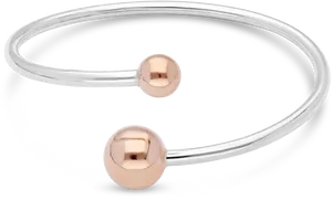 Elegant Silverand Rose Gold Bracelet PNG image