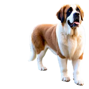 Elegant St Bernard Profile PNG Plb40 PNG