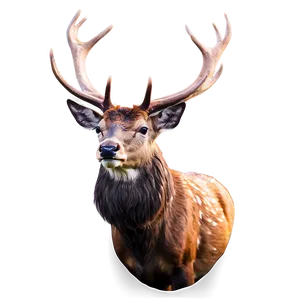 Elegant Stag Design PNG Dpf PNG