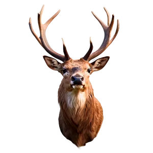 Elegant Stag Design PNG Gas PNG