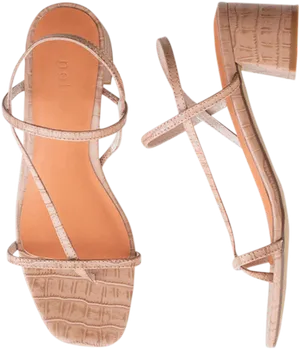 Elegant Strappy Sandals Tan Color PNG image