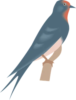 Elegant Swallow Illustration PNG image