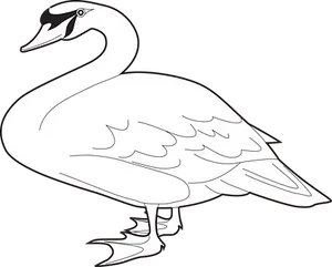 Elegant Swan Silhouette
