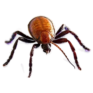 Elegant Tick Representation Png Gsh23 PNG image