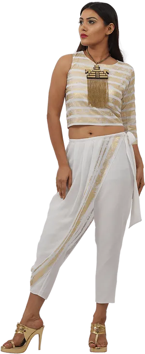 Elegant Traditional Indian Attire PNG image