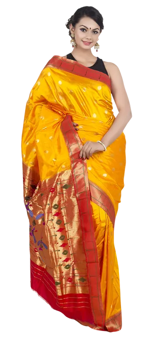 Elegant Traditional Saree Attire PNG image
