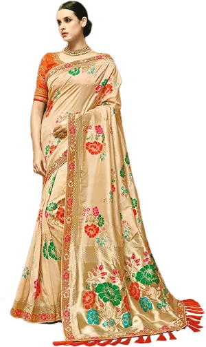 Elegant Traditional Saree Model