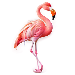 Elegant Tropical Flamingo Png 06272024 PNG image